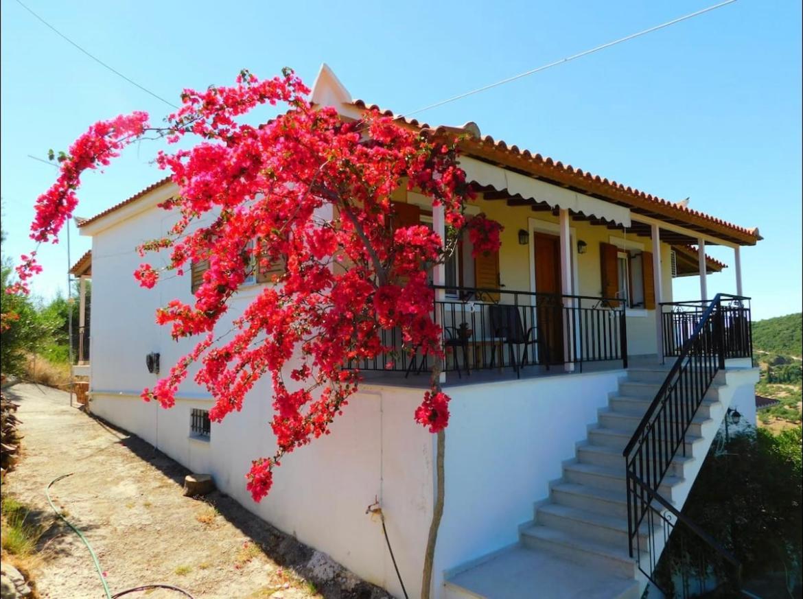 Nirvana Guest House Vasilitsion Exterior photo